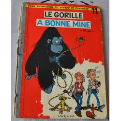Le Gorille a bonne mine EO...